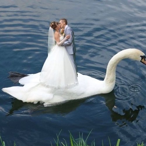 As 27 Piores Fotos de Casamento de Todos os Tempos